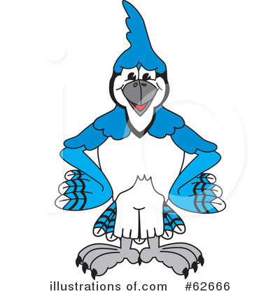 Blue Jay Clipart #62666 by Mascot Junction