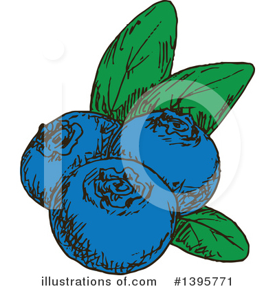 Blueberry Clipart #1395771 by Vector Tradition SM