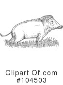 Boar Clipart #104503 by patrimonio