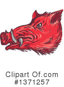 Boar Clipart #1371257 by patrimonio