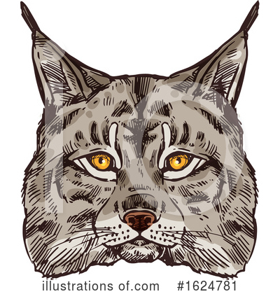 Bobcat Clipart #1624781 by Vector Tradition SM