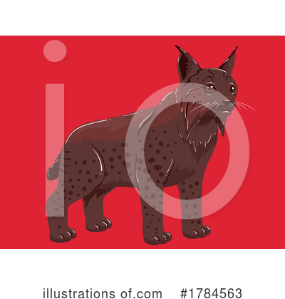 Royalty-Free (RF) Bobcat Clipart Illustration by BNP Design Studio - Stock Sample #1784563