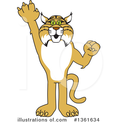 Bobcat Clipart #1361634 by Mascot Junction