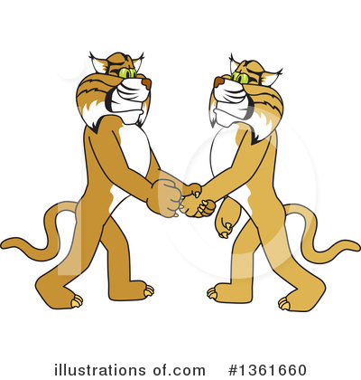 Bobcat Clipart #1361660 by Mascot Junction