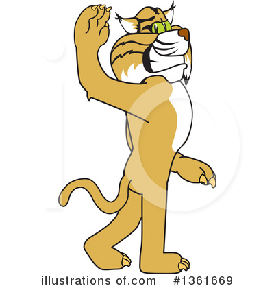 Bobcat Clipart #1361669 by Mascot Junction