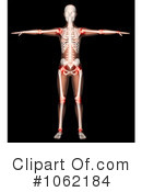 Body Clipart #1062184 by KJ Pargeter