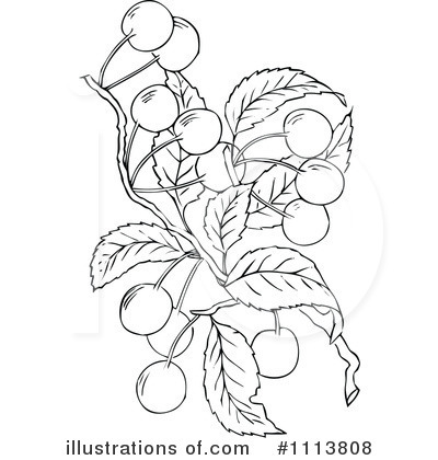Royalty-Free (RF) Botanical Clipart Illustration by Prawny Vintage - Stock Sample #1113808
