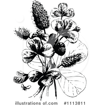 Bee Clipart #1113811 by Prawny Vintage