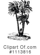 Botanical Clipart #1113816 by Prawny Vintage