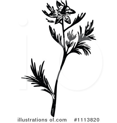 Royalty-Free (RF) Botanical Clipart Illustration by Prawny Vintage - Stock Sample #1113820