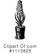Botanical Clipart #1113825 by Prawny Vintage