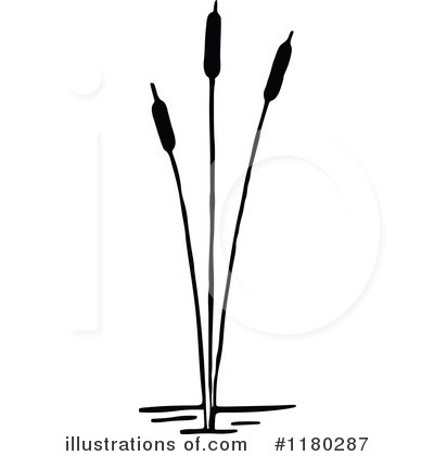 Cattails Clipart #1180287 by Prawny Vintage