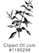 Botanical Clipart #1180298 by Prawny Vintage