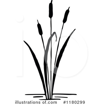 Cattails Clipart #1180299 by Prawny Vintage