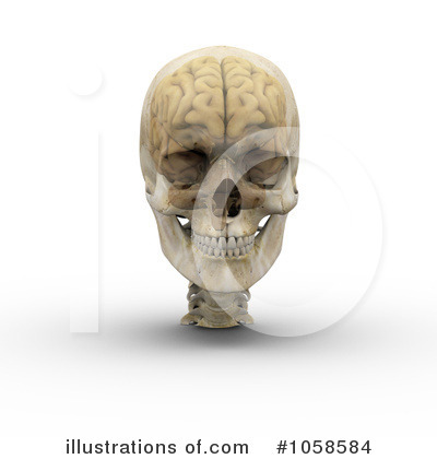 Skeleton Clipart #1058584 by Michael Schmeling