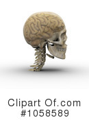 Brain Clipart #1058589 by Michael Schmeling