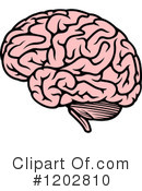 Brain Clipart #1202810 by Vector Tradition SM