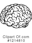 Brain Clipart #1214810 by Vector Tradition SM
