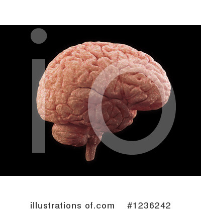 Royalty-Free (RF) Brain Clipart Illustration by Mopic - Stock Sample #1236242