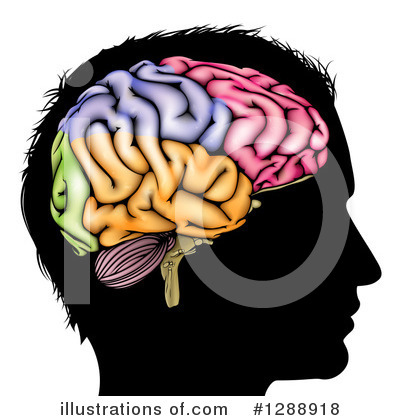 Royalty-Free (RF) Brain Clipart Illustration by AtStockIllustration - Stock Sample #1288918