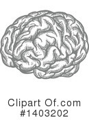 Brain Clipart #1403202 by Vector Tradition SM