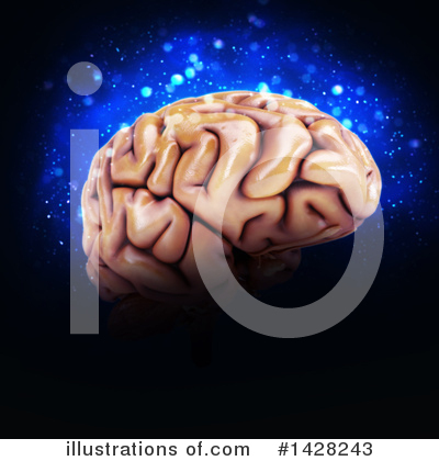 Royalty-Free (RF) Brain Clipart Illustration by KJ Pargeter - Stock Sample #1428243