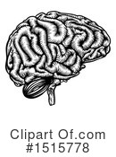 Brain Clipart #1515778 by AtStockIllustration