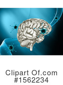 Brain Clipart #1562234 by KJ Pargeter