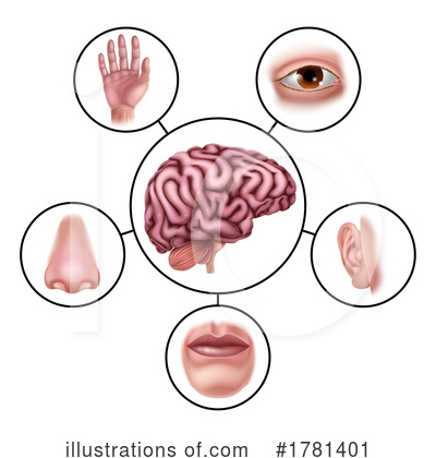 Royalty-Free (RF) Brain Clipart Illustration by AtStockIllustration - Stock Sample #1781401