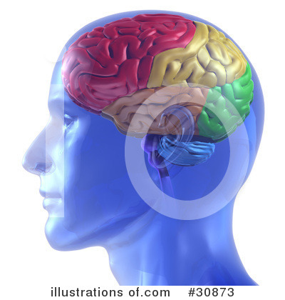 Royalty-Free (RF) Brain Clipart Illustration by Tonis Pan - Stock Sample #30873