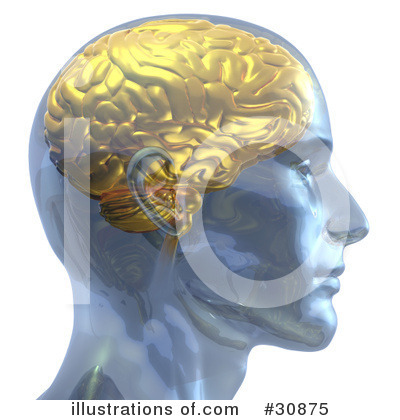 Royalty-Free (RF) Brain Clipart Illustration by Tonis Pan - Stock Sample #30875