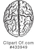 Brain Clipart #433949 by BestVector
