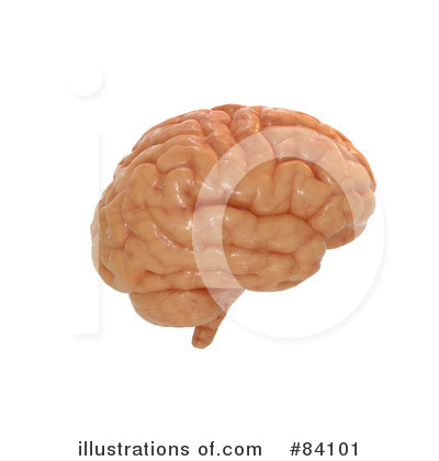Royalty-Free (RF) Brain Clipart Illustration by Mopic - Stock Sample #84101