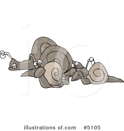 Snail Clipart #5105 by djart
