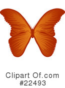 Butterflies Clipart #22493 by Tonis Pan