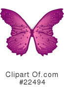 Butterflies Clipart #22494 by Tonis Pan