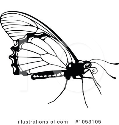 Royalty-Free (RF) Butterfly Clipart Illustration by AtStockIllustration - Stock Sample #1053105