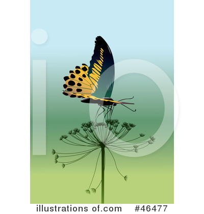 Butterflies Clipart #46477 by Eugene