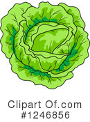 Cabbage Clipart #1246856 by Vector Tradition SM