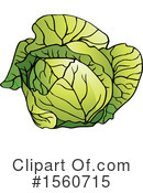 Cabbage Clipart #1560715 by Lal Perera