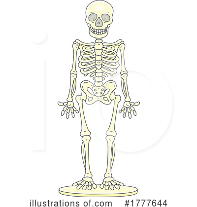 Skeleton Clipart #1777644 by Alex Bannykh