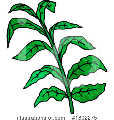 Plants Clipart #1802275 by lineartestpilot