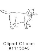 Cat Clipart #1115343 by Prawny Vintage