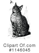 Cat Clipart #1146045 by Prawny Vintage