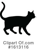 Cat Clipart #1613116 by AtStockIllustration