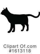 Cat Clipart #1613118 by AtStockIllustration