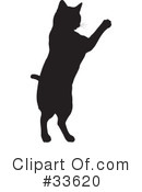 Cat Clipart #33620 by KJ Pargeter