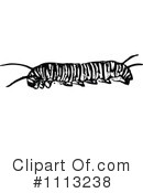Caterpillar Clipart #1113238 by Prawny Vintage