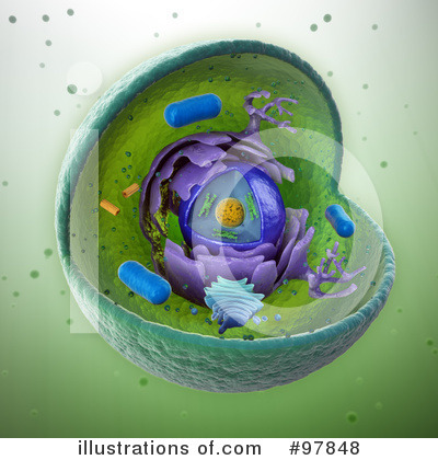 Bacteria Clipart #97848 by Mopic