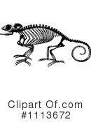 Chameleon Clipart #1113672 by Prawny Vintage